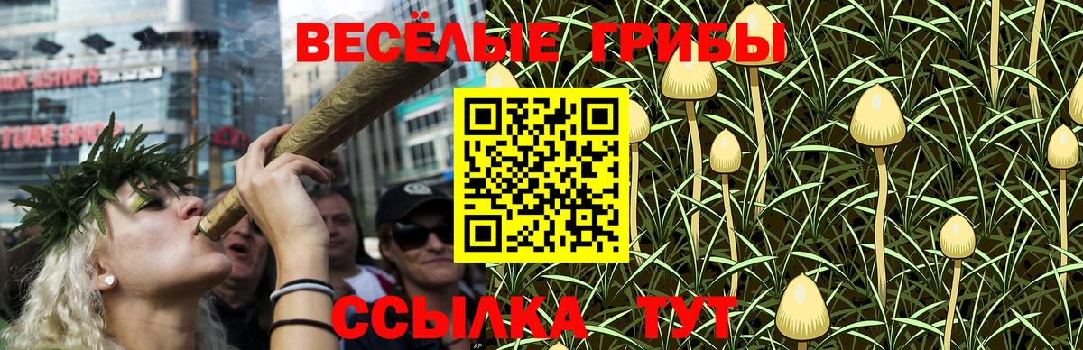 Златоуст  Псилоцибиновые грибы GOLDEN TEACHER  Вход с VPN 